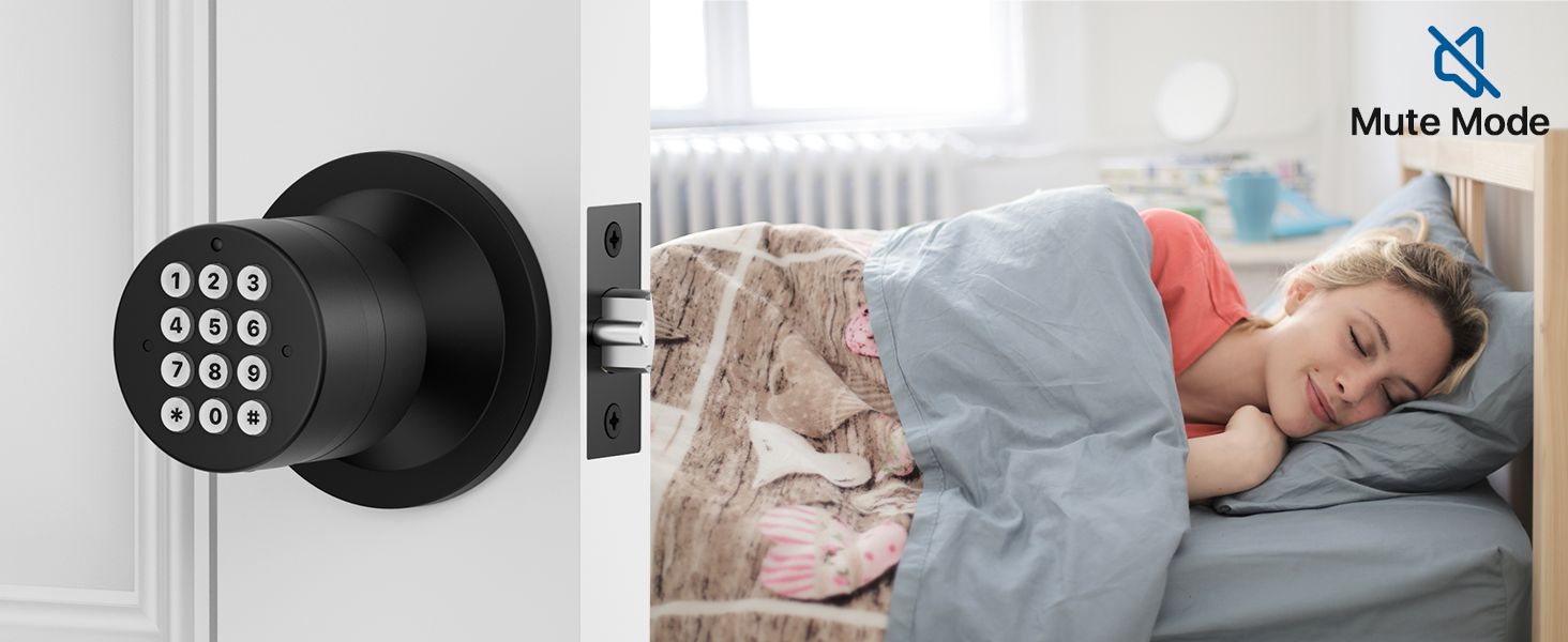 Door Knob with Keypad