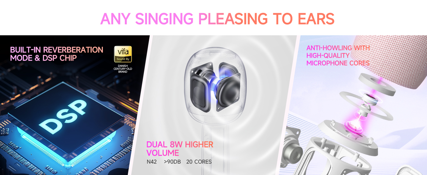 car karaoke microphone