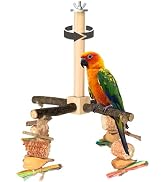 Agape Rotating Parrot Perch Toy with Chew Toy, Natural Wooden Perch Stand for Small & Medium Bird...