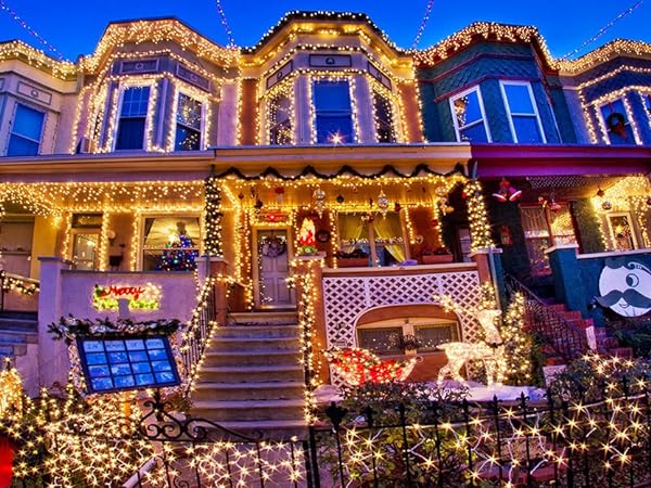 66ft Christmas Decorative Mini Lights