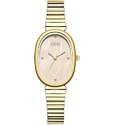 FANMIS Vintage Oval Gold Tone Watches for Women Easy Reader Analog Watch Waterproof Elegant Brace...