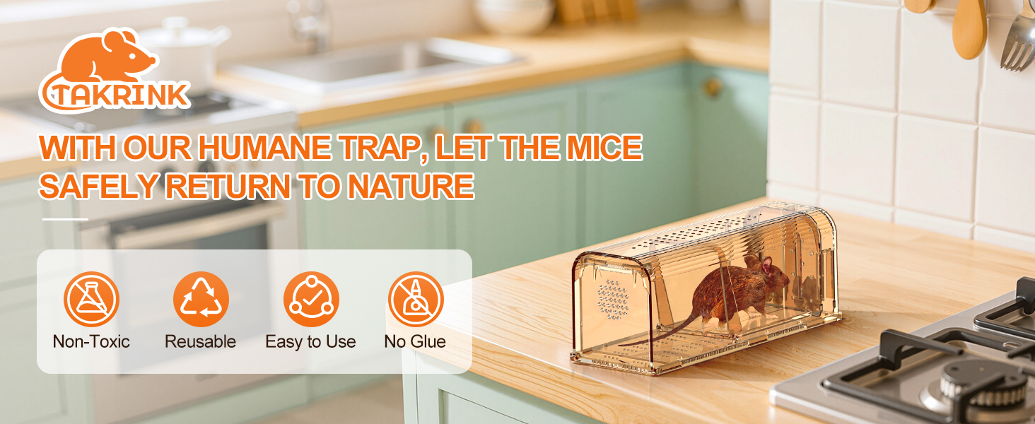 mouse trap