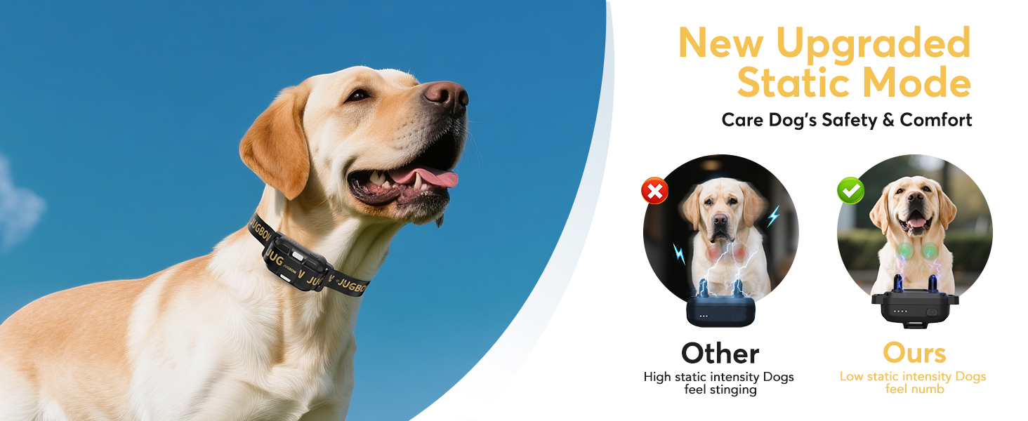 shock collar for dogs