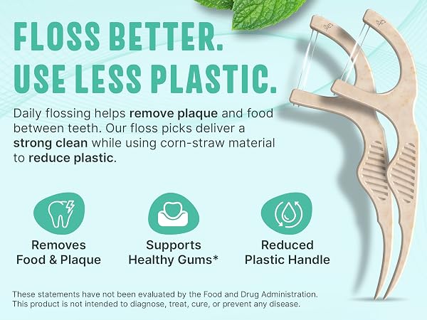 Dental Floss Picks