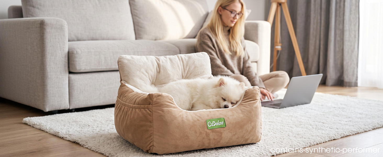 dog car bed