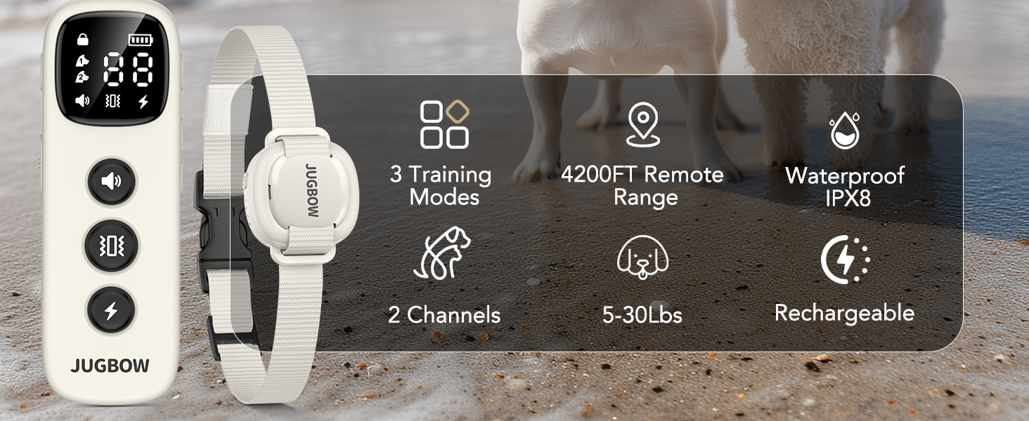 dog training collar with remote