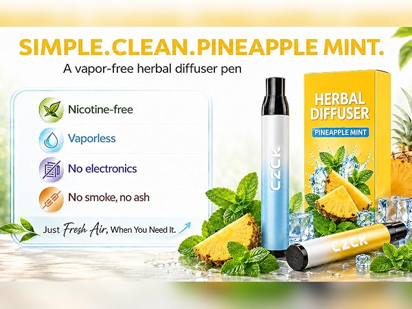 SIMPLE.CLEAN.PINEAPPLE MINT. A vapor-free herbal diffuser pen