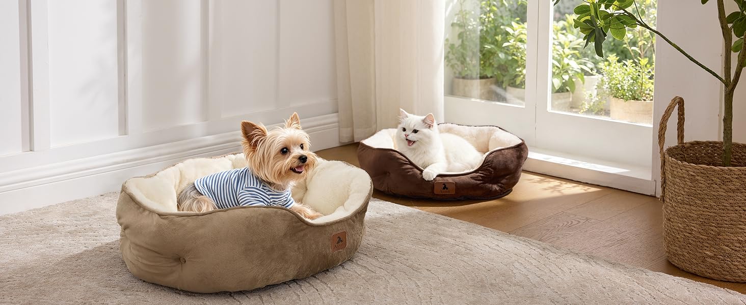 cat bed