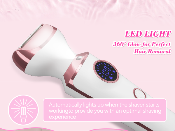 LED Light