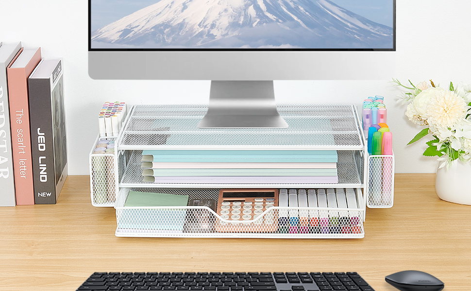 AUPSEN Computer Monitor Stand for Desk