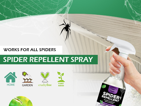 spider repellent indoor