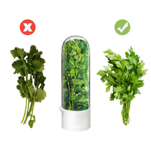 herb storage for refrigerator