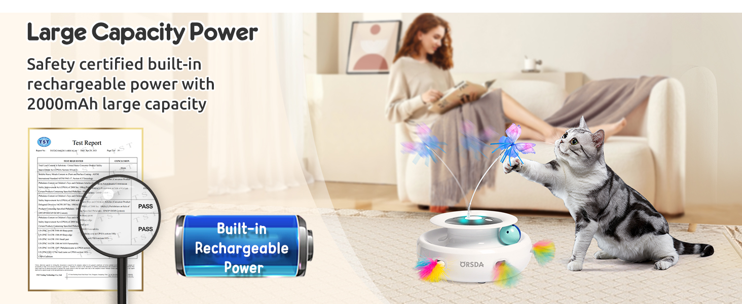 Interactive Cat Toys for Indoor