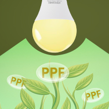 plant grow light bulb