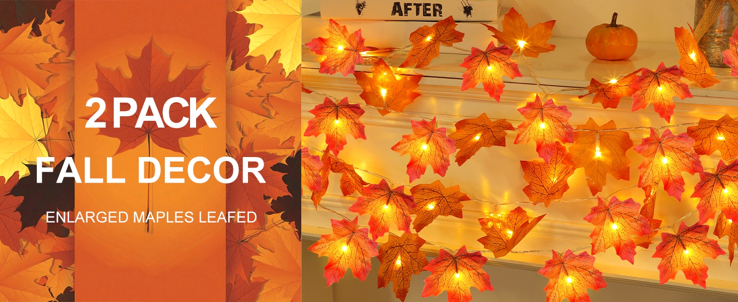 fall