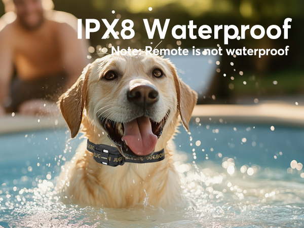 waterproof Shock Collar