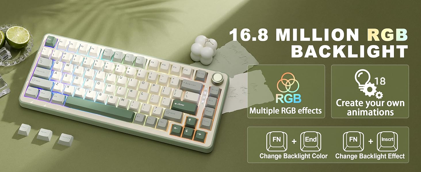 B75 PRO