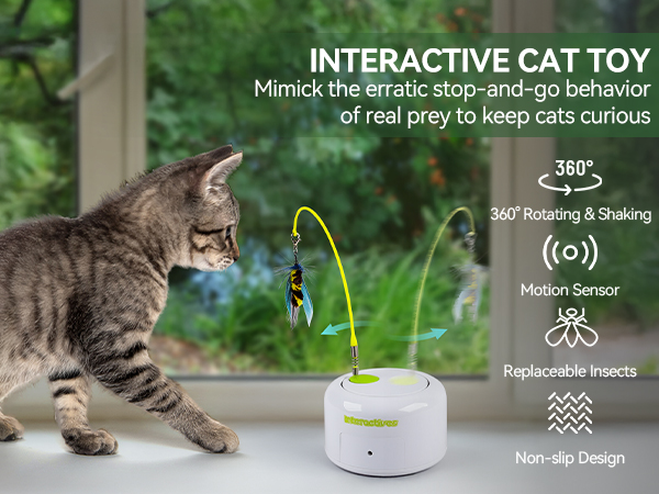 3243 cat toy