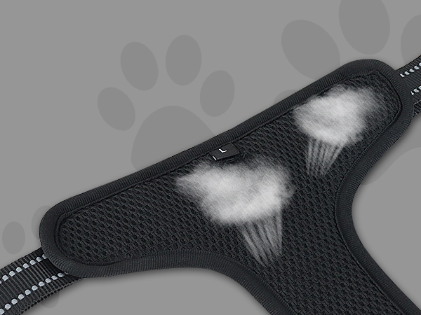 dog harness