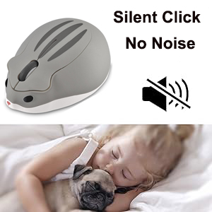 silent-bluetooth-wireless-hamster-mouse kids women men gift