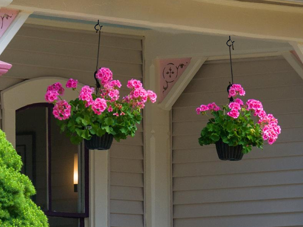 plant hangers