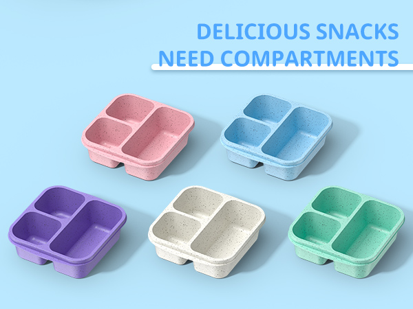 bento box for adult