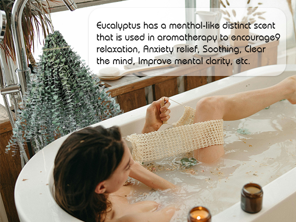 eucalyptus for shower