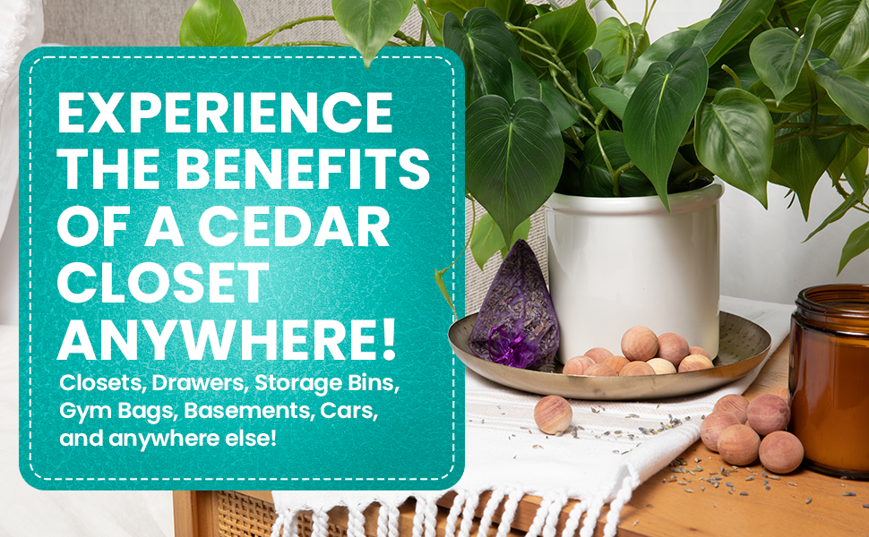 The benefits of a cedar closet, anywhere! Closets, drawers, storage bins, gym bags, basements