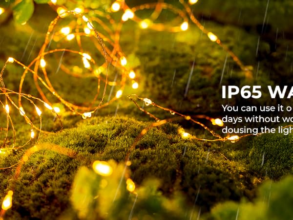 solar lights outdoor