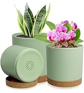 WSMKSZ 3 Pack 6/5/4 inch Cylindrical Flower Pots, Modern Small Round Plastic Plant Pots with Drai...
