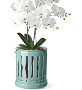 BUYMAX 6 Inch Ceramic Orchid Pot with Large Slotted Holes, Orchid Planter for Enhanced Air Circul...