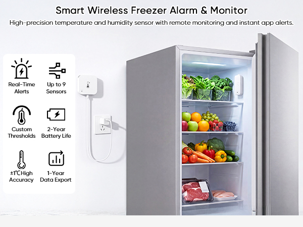 WiFi Refrigerator Thermometer