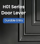 Entry Door Lever