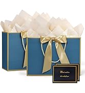 JMANNI Gift Bags, Medium Gift Bags with Tissue Paper, 2Pcs Gift Bags Medium Size with Handle and ...