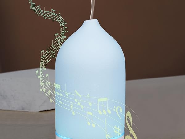 White Noise Diffuser