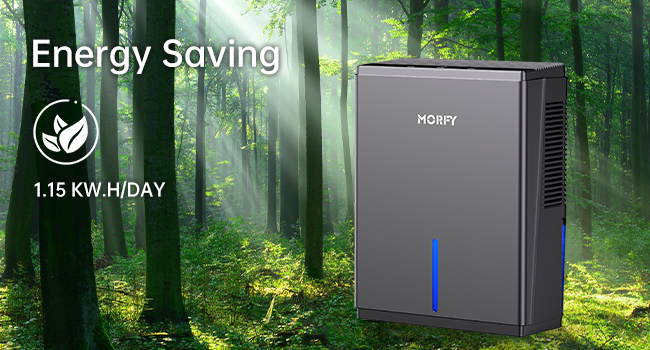 home dehumidifier