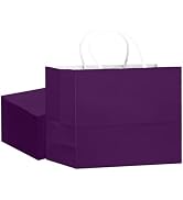 qiqee 24PCS Large Gift Bag with Handles Bulk 13
