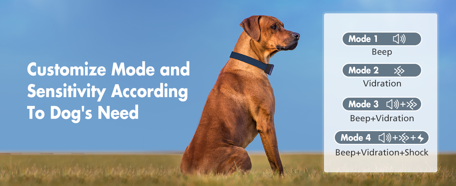 anti barking collar for dogs