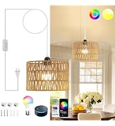 ZSLAIFU Hanging Lamp Plug in, Rattan Hanging Lights, Bulb Included, Woven Pendant Light with Plug...