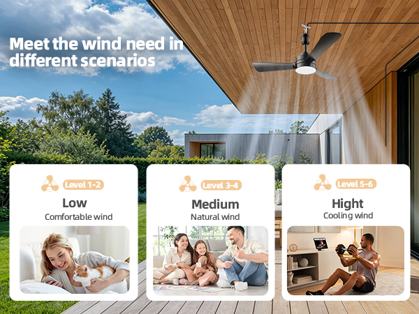 Outdoor Ceiling Fan with Light