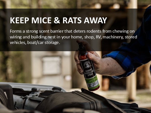 keep mice and rats away and rats away