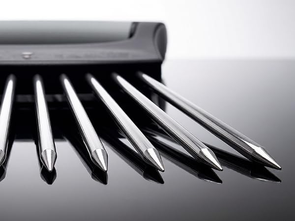 10-Piece Stainless Steel Prongs