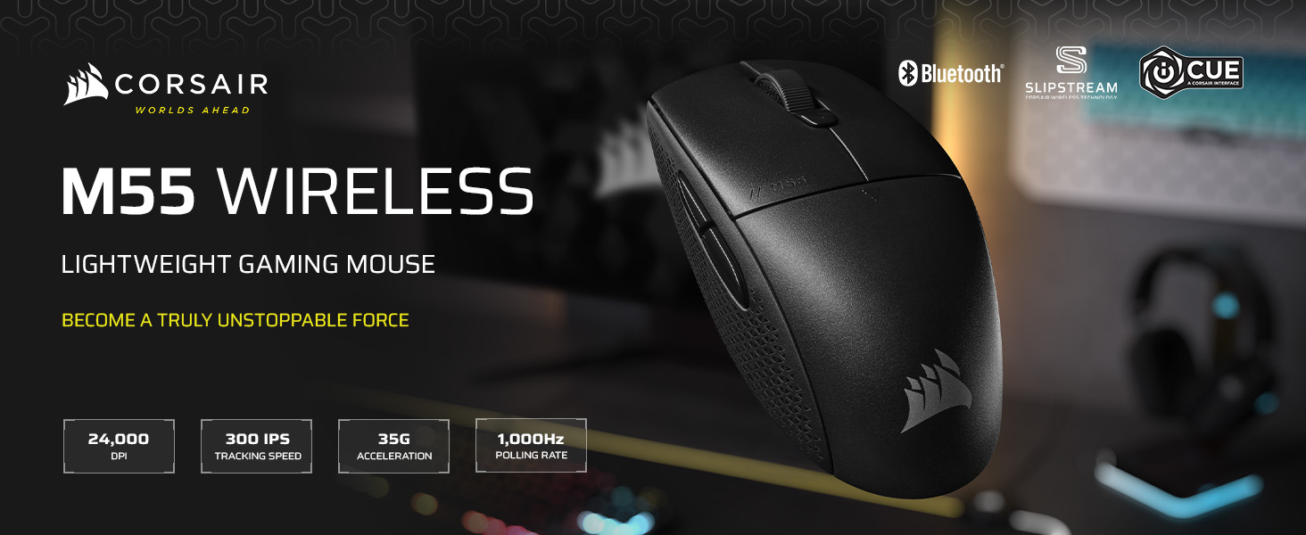 gaming mouse; lightweight mouse; symmetrical mouse; wireless mouse