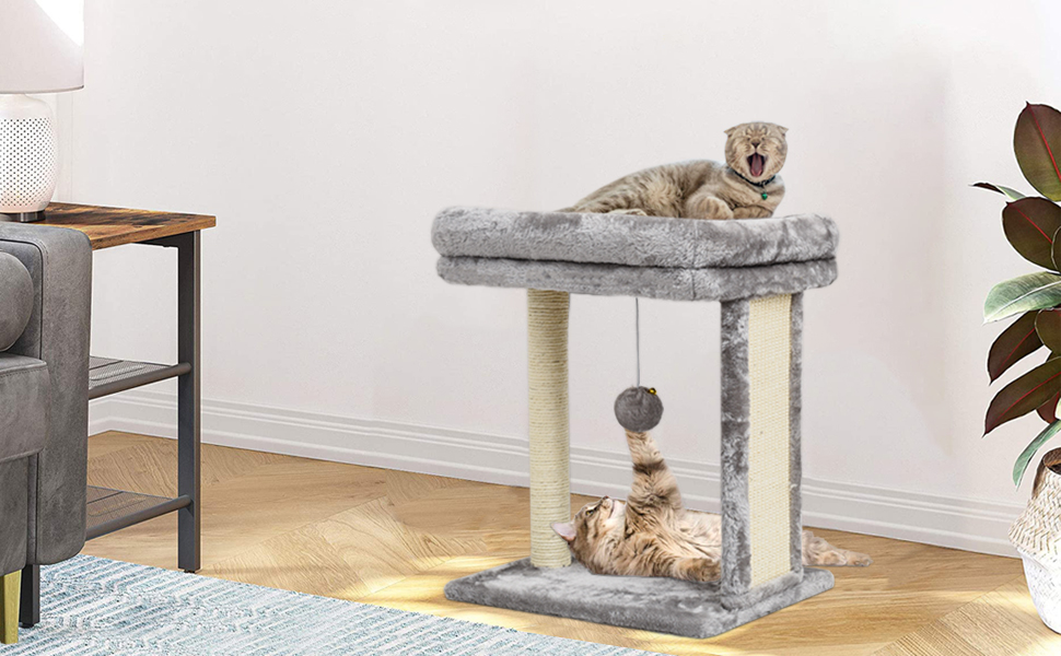 scratching board