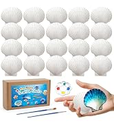 MORFEN 20 PCS Scallop Shells, Seashells for Crafts, 2''-3'' White Sea Shells for Crafting Decorat...