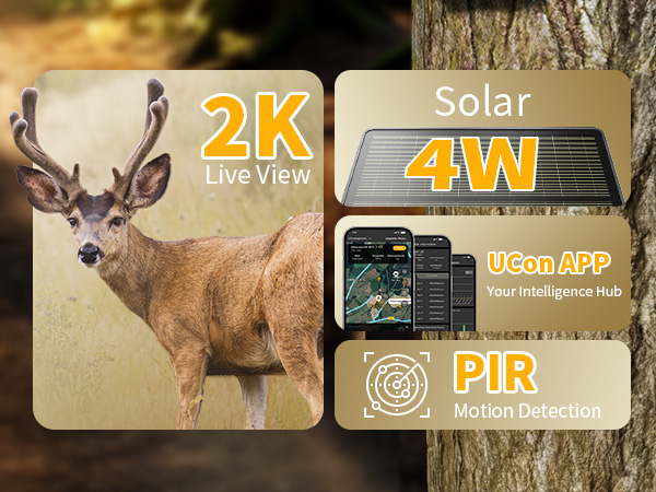 trail camera