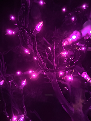 Purple halloween lights outdoor