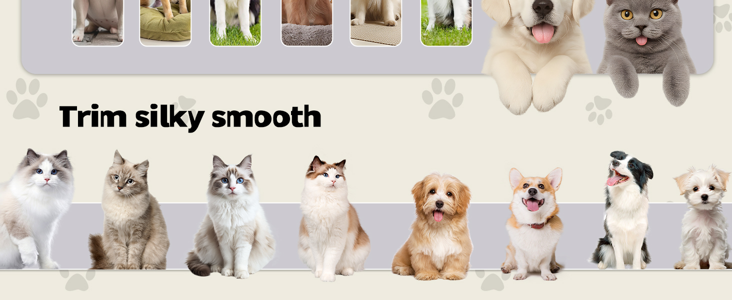 dog grooming vacuum