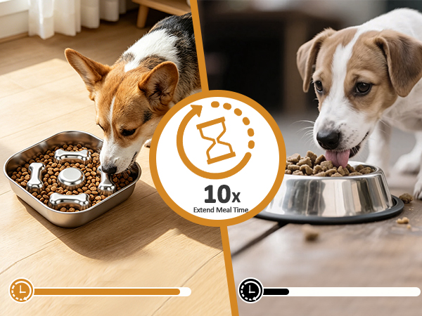 dog bowl slow feeder