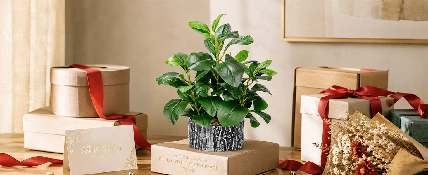 artificial green potted plant holiday gift display